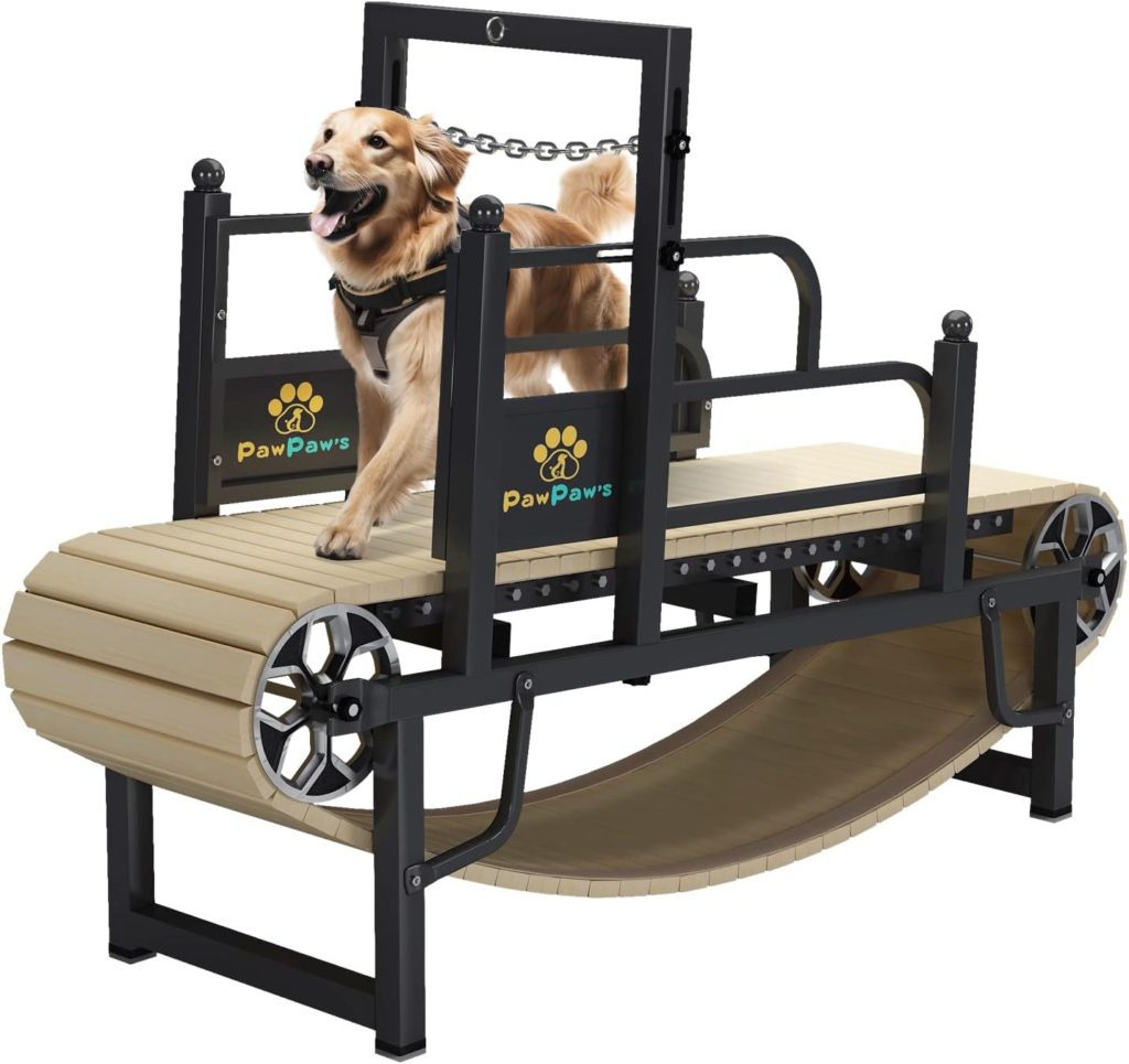 PawPaw's Dog Treadmill