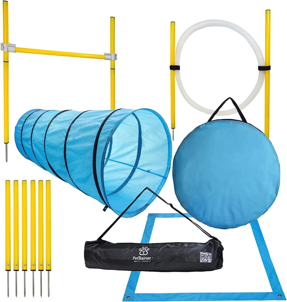 Dog Agility Training Equipment