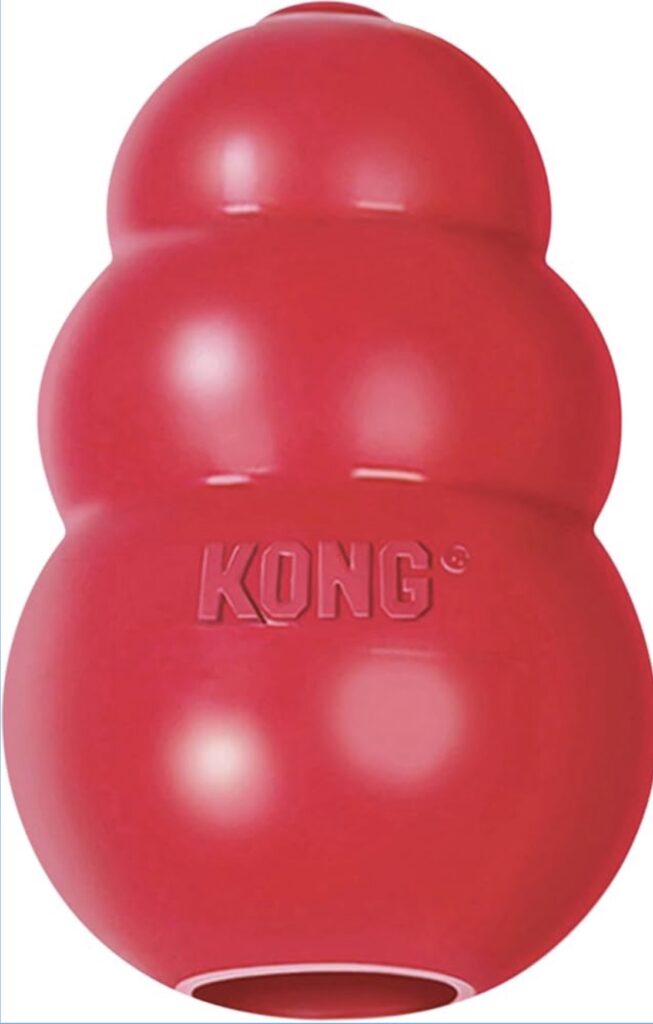 KONG Classic Dog Toy
