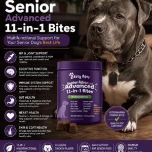 Senior Advanced 11-1 Bites